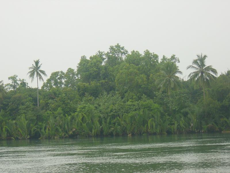 Maleisie (409).JPG